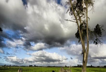 征途国际官网：CBA最后一轮排名大解析：辽宁最好第3广东第4 新疆最差或跌至第9.